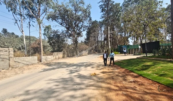 A wide view of the peaceful approach road leading to the Godrej Castillo property, featuring lush green landscaping and mature trees