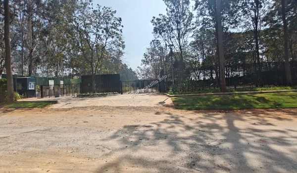 The main approach road leading towards the Godrej Castillo entrance gate shaded by mature trees