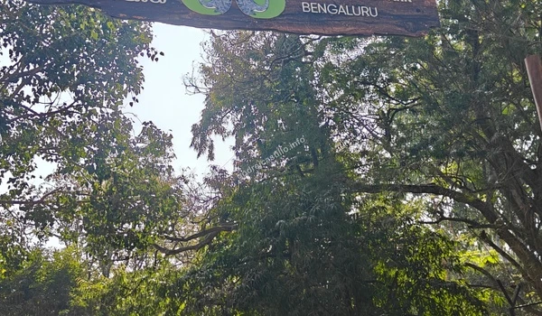 View of the lush greenery and signage at Bannerghatta National Park, a popular recreational destination easily accessible from Godrej Castillo.