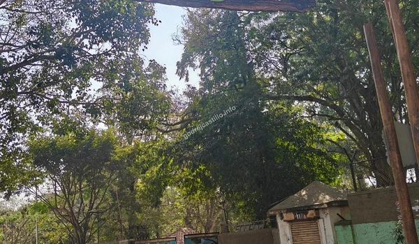 Scenic trees and the perimeter boundary of Bannerghatta Biological Park, highlighting the beautiful natural surroundings near Godrej Castillo.