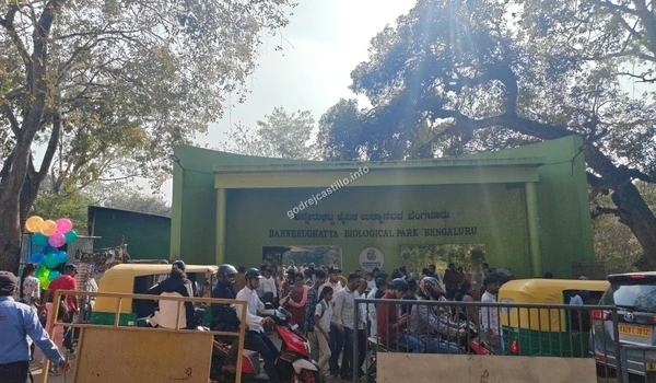 Busy tourist activity and transport vehicles outside the Bannerghatta Biological Park, emphasizing the vibrant neighborhood and dynamic lifestyle near Godrej Castillo.
