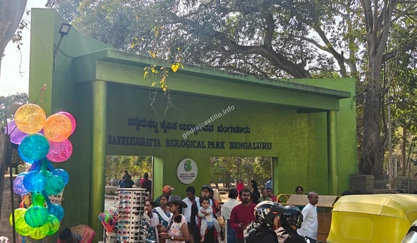 Colorful balloons and local vendors at the lively tourist hub of Bannerghatta Biological Park, adding a vibrant charm to the locale near Godrej Castillo.