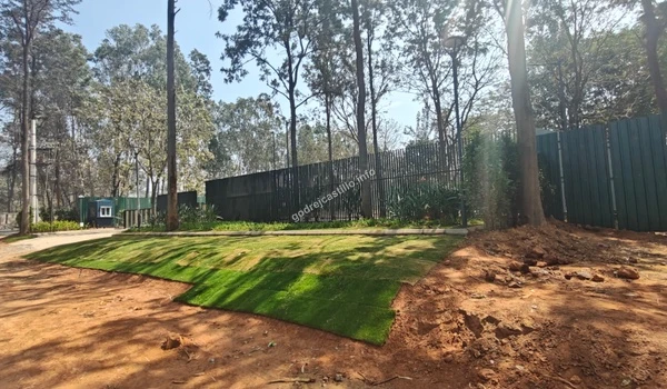 Freshly laid green turf squares placed along the dirt slope near the boundary wall and trees at the Godrej Castillo property.
