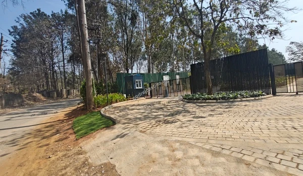 The smoothly paved access road curving towards the Godrej Castillo entrance, lined with trees and sections of new green landscaping.