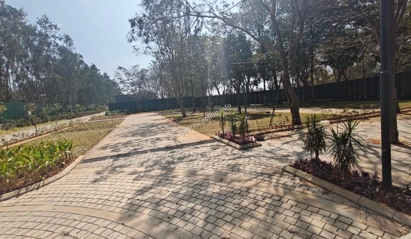 View of the internal cobblestone driveway leading into the heart of Godrej Castillo surrounded by mature trees