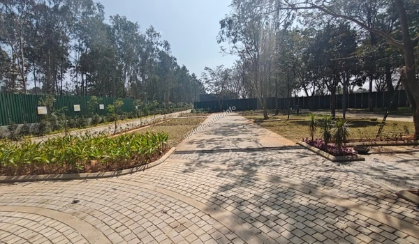 The beautifully paved internal walkway near the entrance of Godrej Castillo surrounded by young plantations
