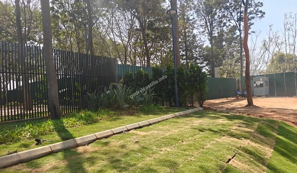 A smooth stone-paved pedestrian walkway near the entrance of Godrej Castillo bordered by professional landscaping and street lamps