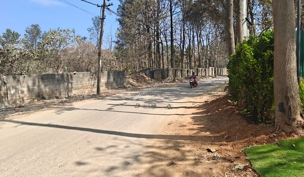 Street perspective showcasing the serene, tree-lined boundary and neighborhood road right outside the Godrej Castillo residential project